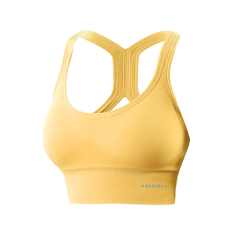 Womens Shockproof Sports Bra Yoga Fitness Vest