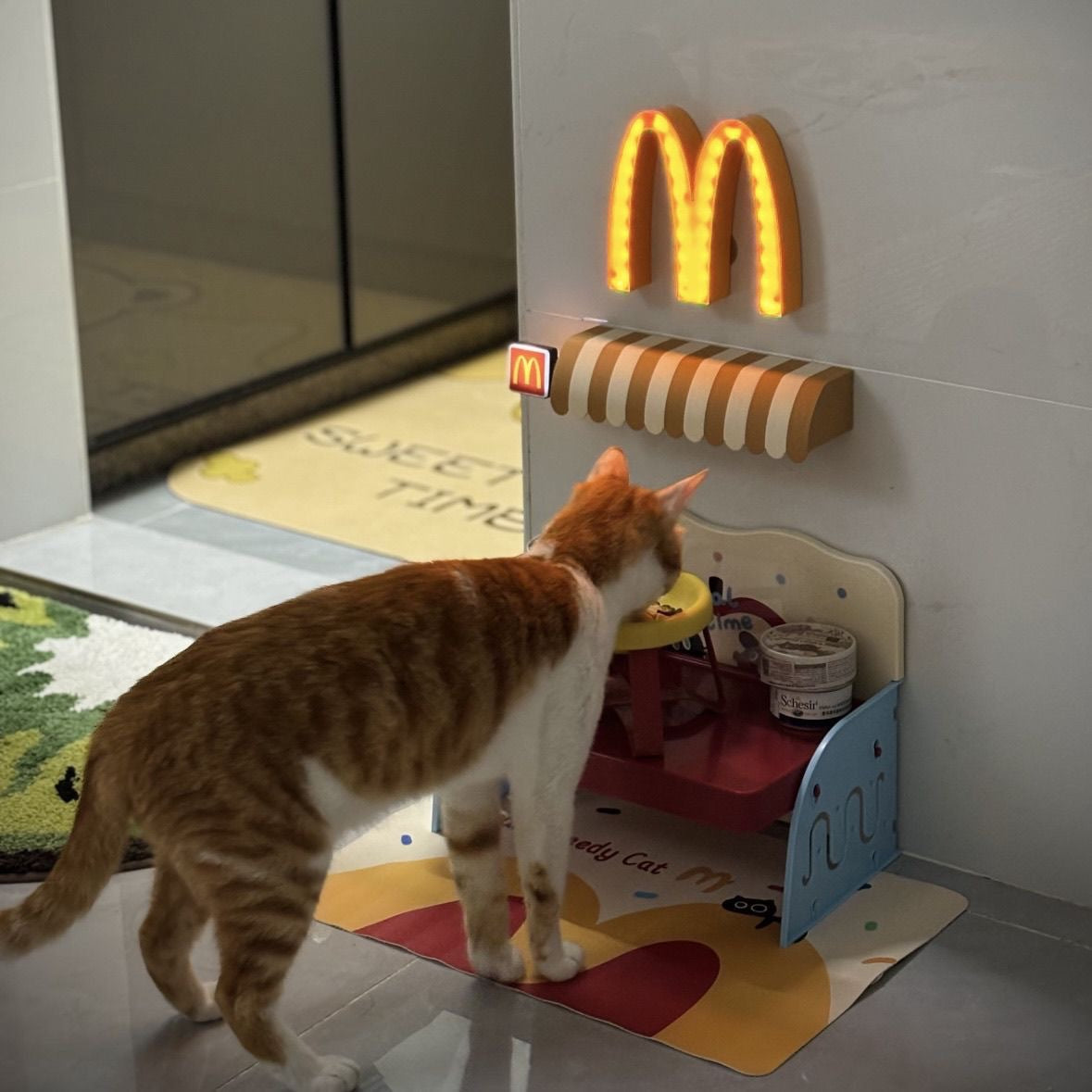 Cartoon Pet Dining Elevated Stand