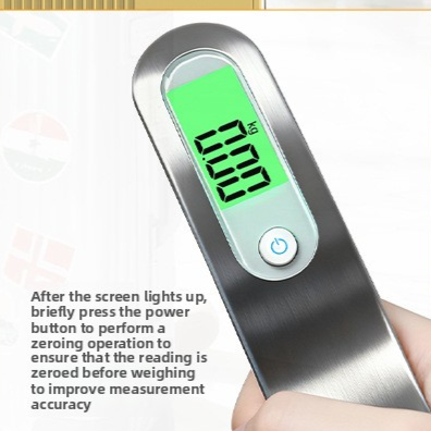 Handheld electronic scale