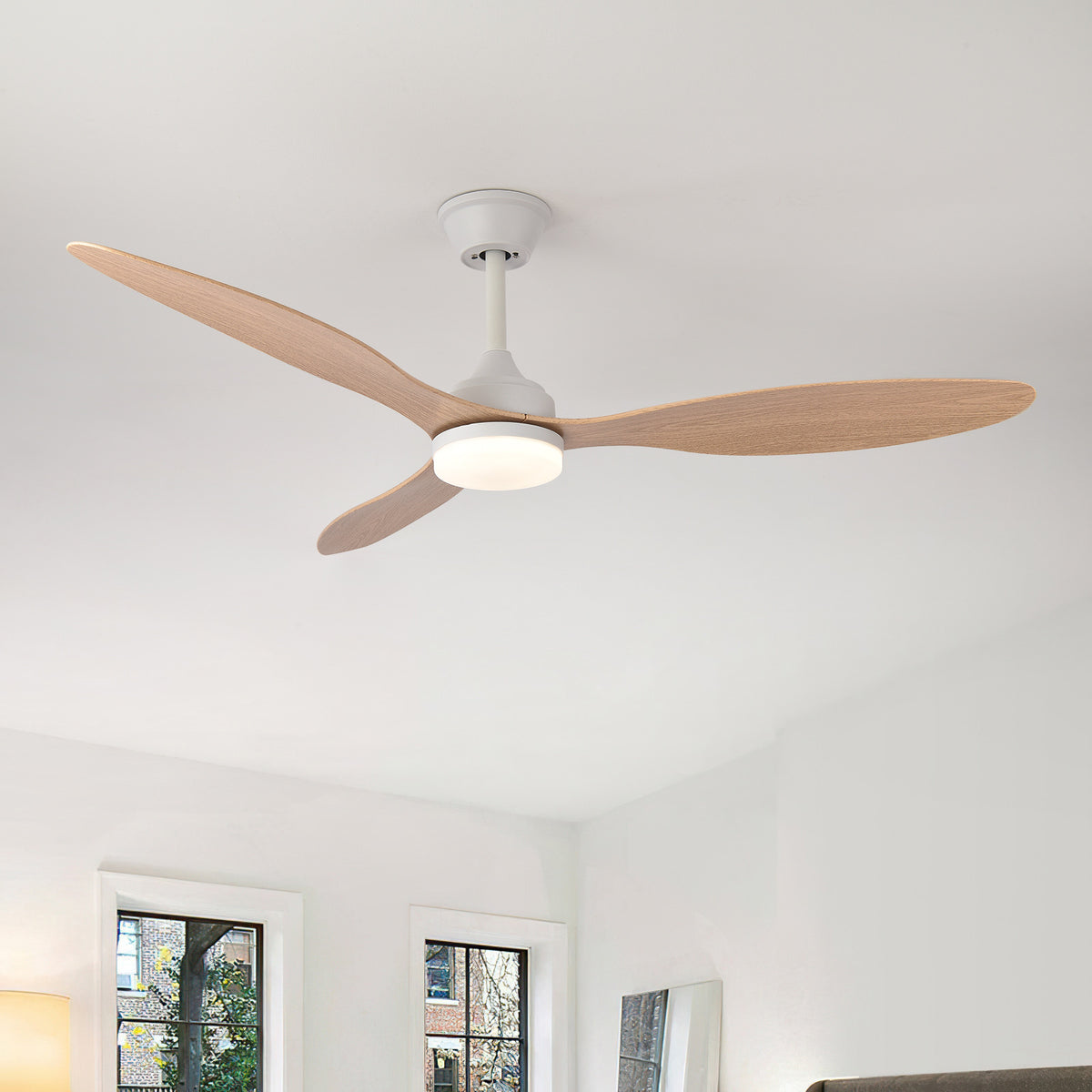 Multifunctional Variable Frequency Ceiling Fan Light