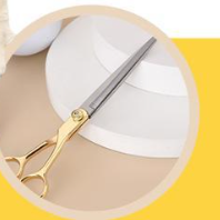 Professional Pet Grooming Scissors and Comb Kit