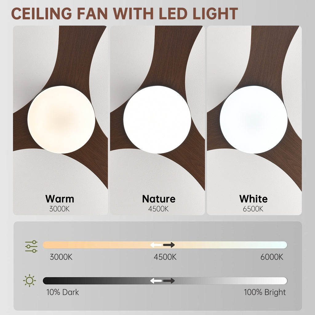 Multifunctional Variable Frequency Ceiling Fan Light