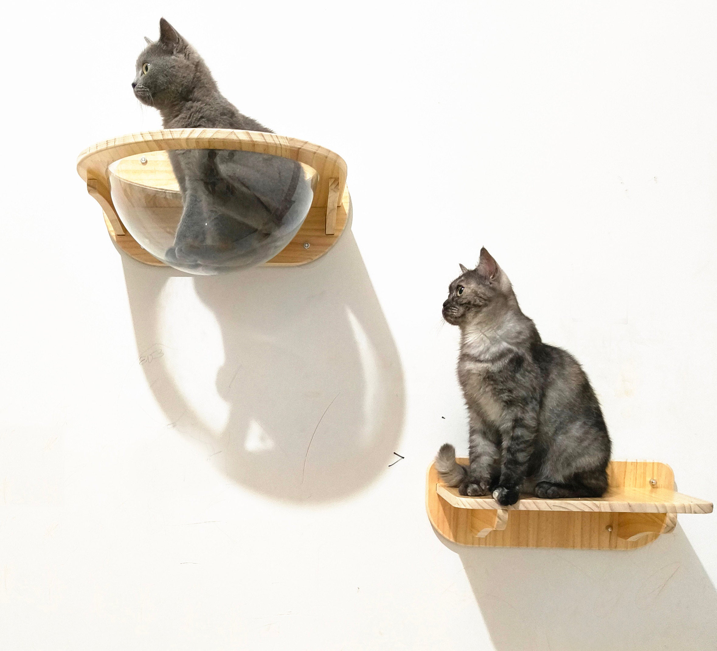Wall-Mounted Cat Climbing Frame with Space Capsule