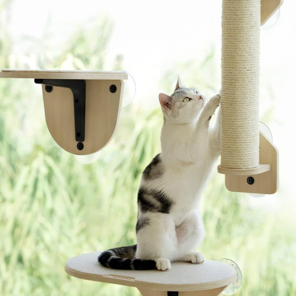 Suction Cup Wall-Mounted Cat Climbing Platform