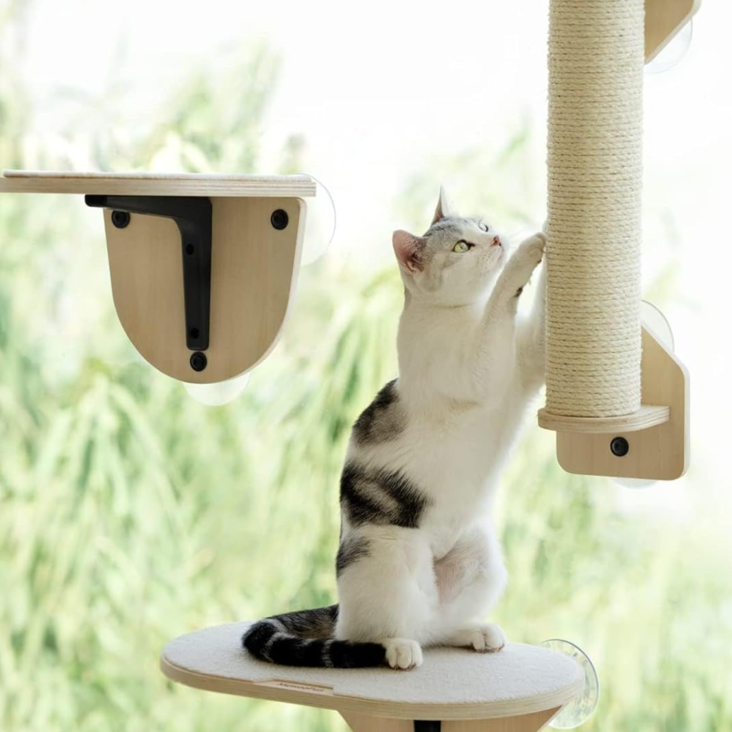Suction Cup Wall-Mounted Cat Climbing Platform