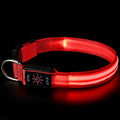 USB Rechargeable Waterproof LED Dog Collar with Dual Light Modes