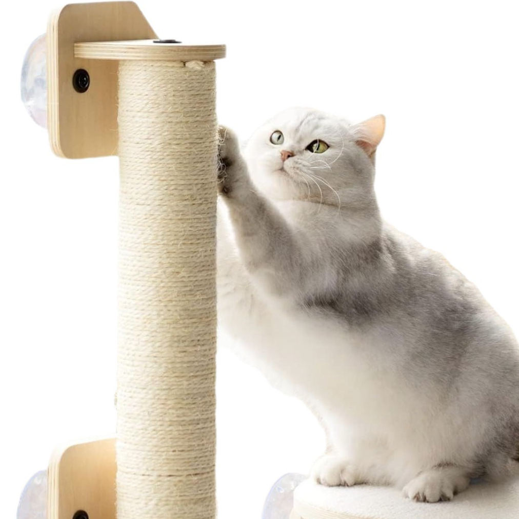 Suction Cup Wall-Mounted Cat Climbing Platform