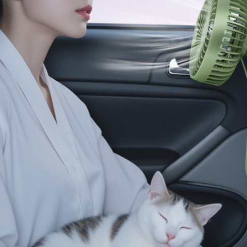 Car-mounted electric fan