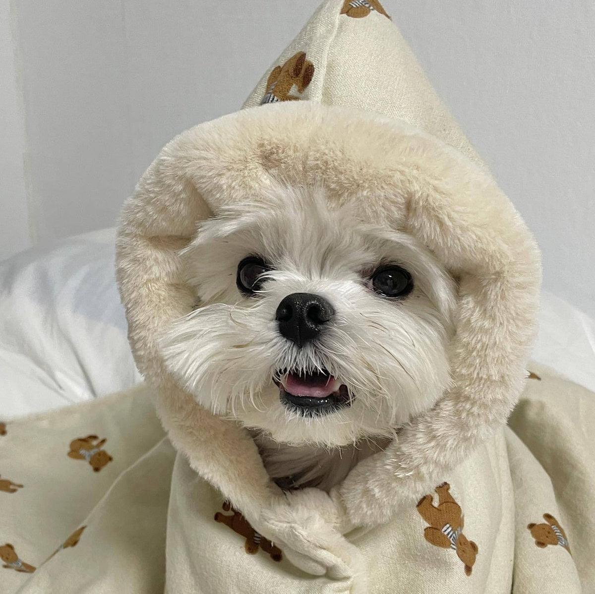 Double-sided wrap scarf teddy bear pet blanket cape