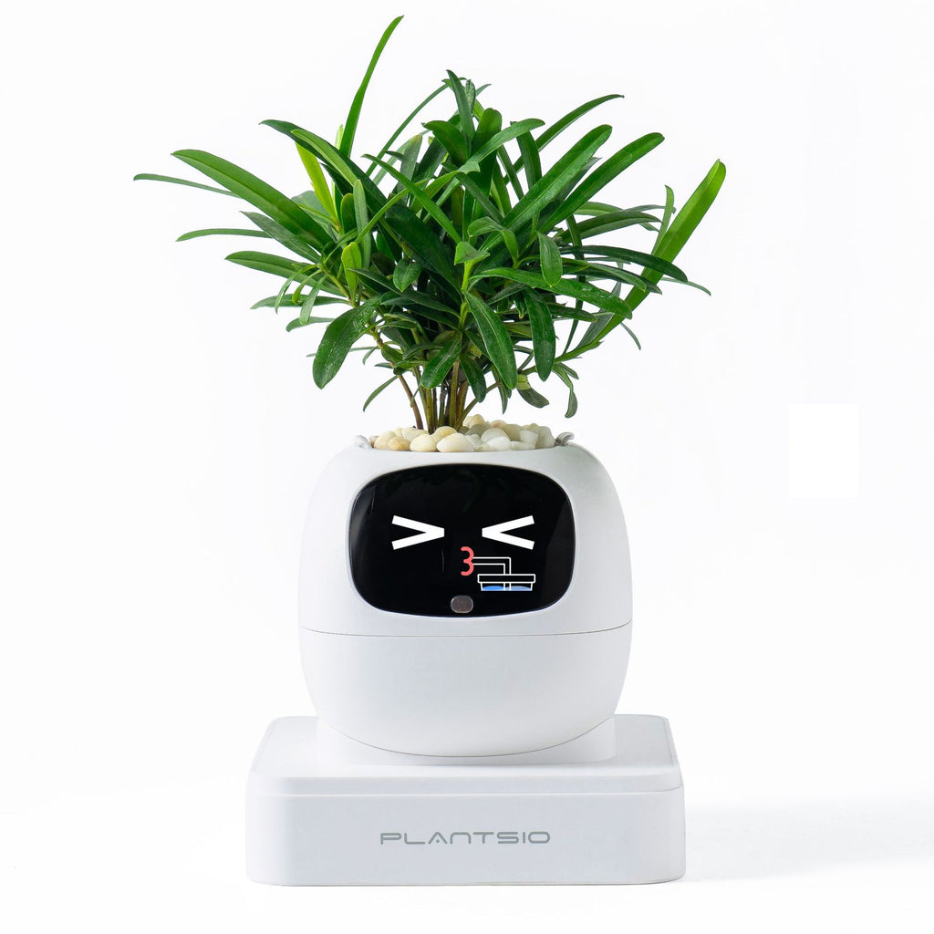 Electronic pet toy