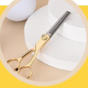 Professional Pet Grooming Scissors and Comb Kit