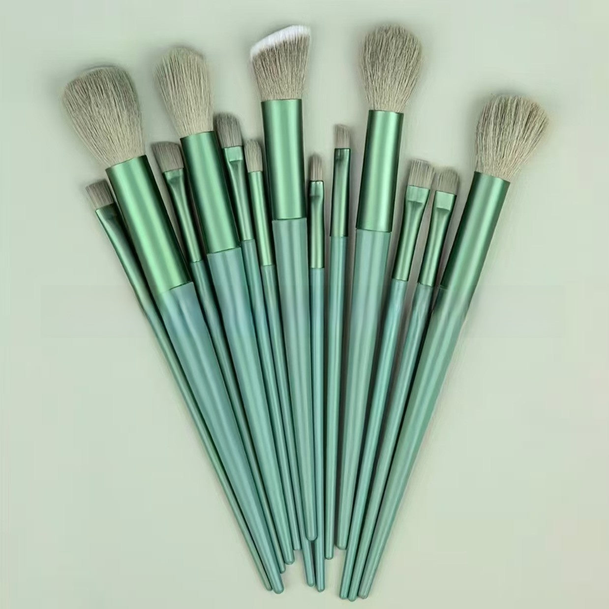 13 Piece Makeup Brush Set for Powder Blush Eye Lip