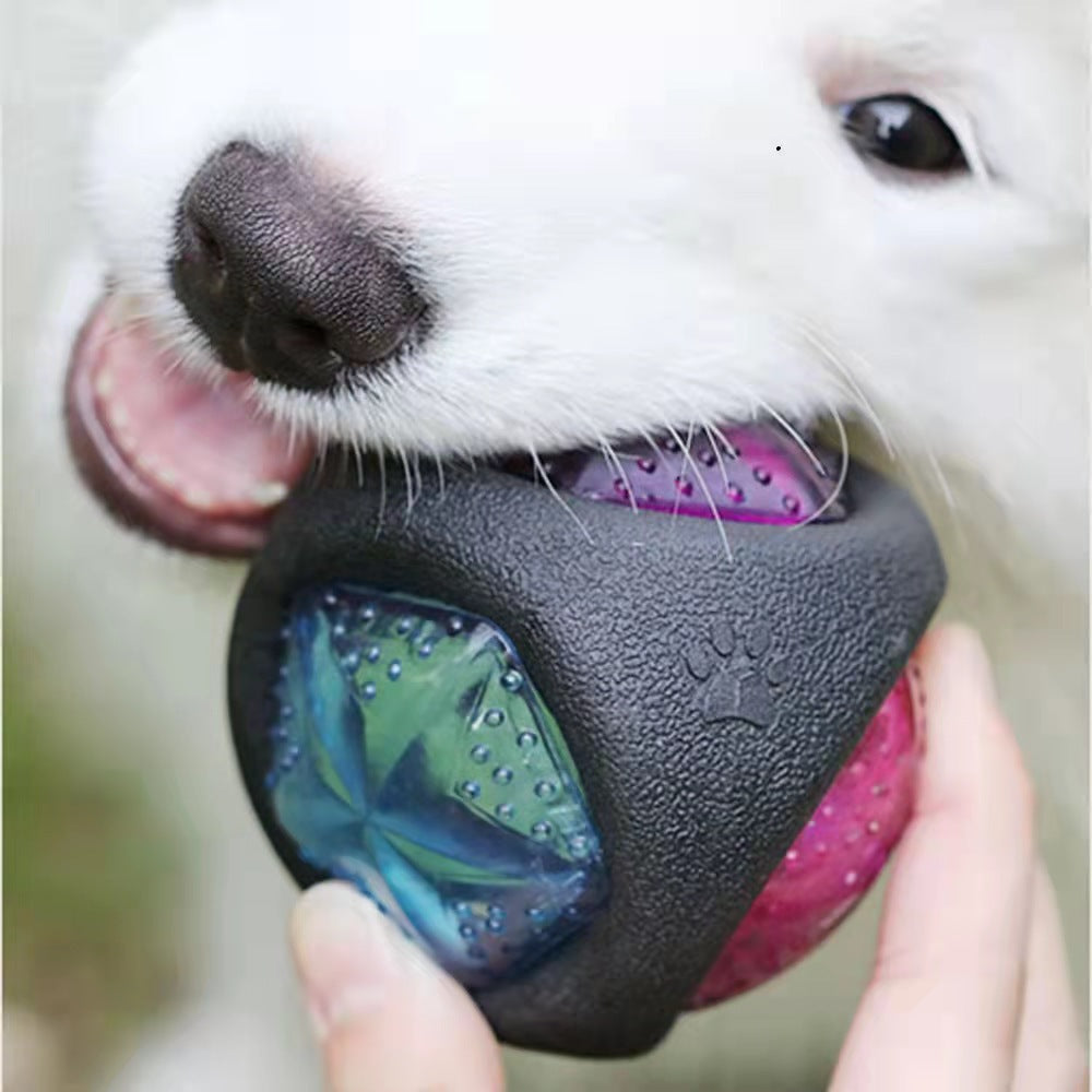 Glow in the Dark Chew Resistant Rubber Pet Training Ball