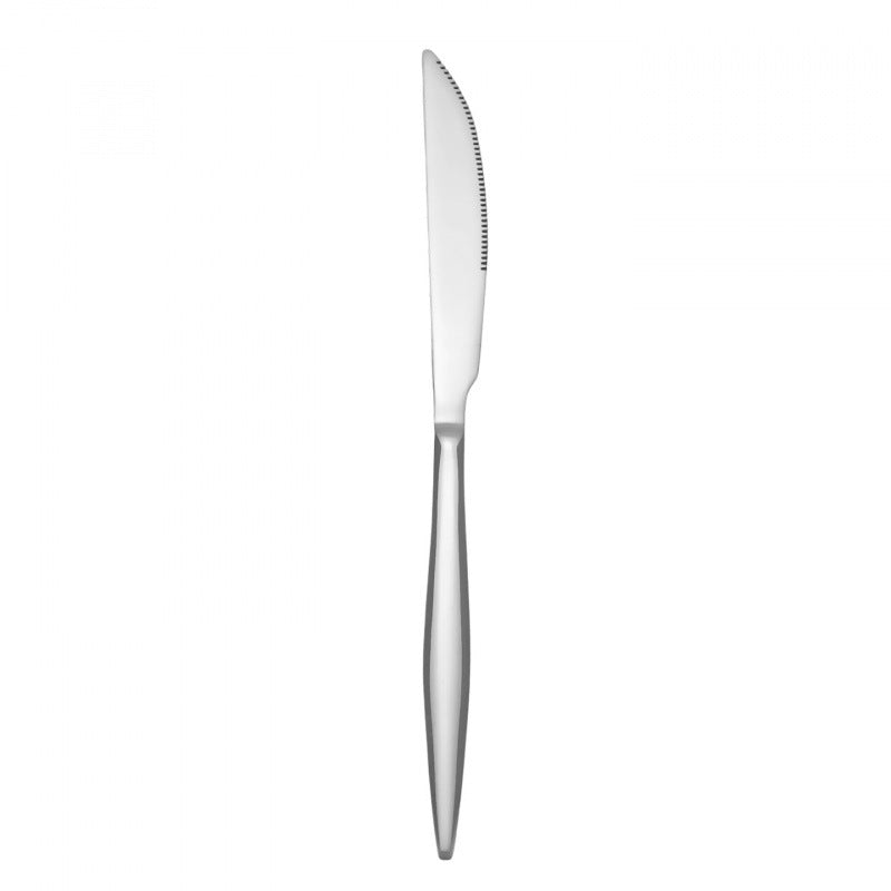 Stainless Steel Knife