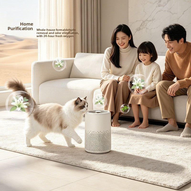 Desktop HEPA Air Purifier with Formaldehyde Removal