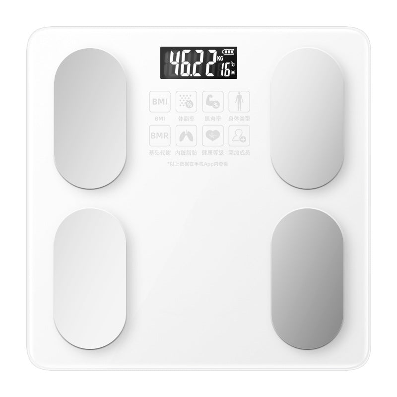 Electronic weight scale