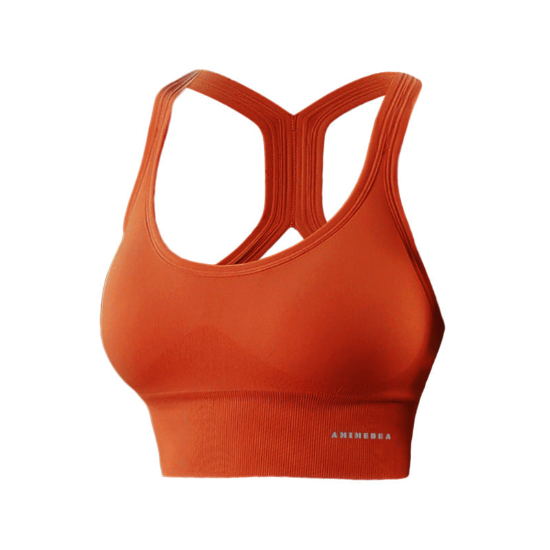 Womens Shockproof Sports Bra Yoga Fitness Vest