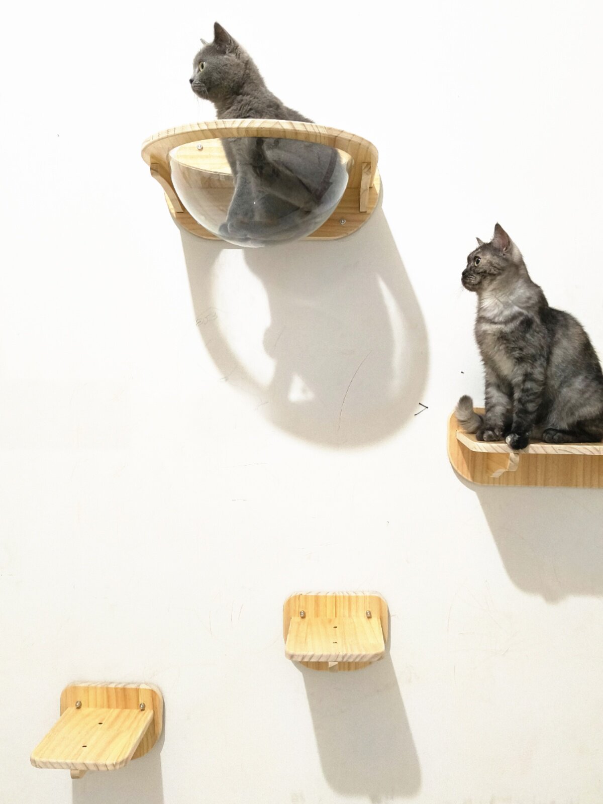 Wall-Mounted Cat Climbing Frame with Space Capsule