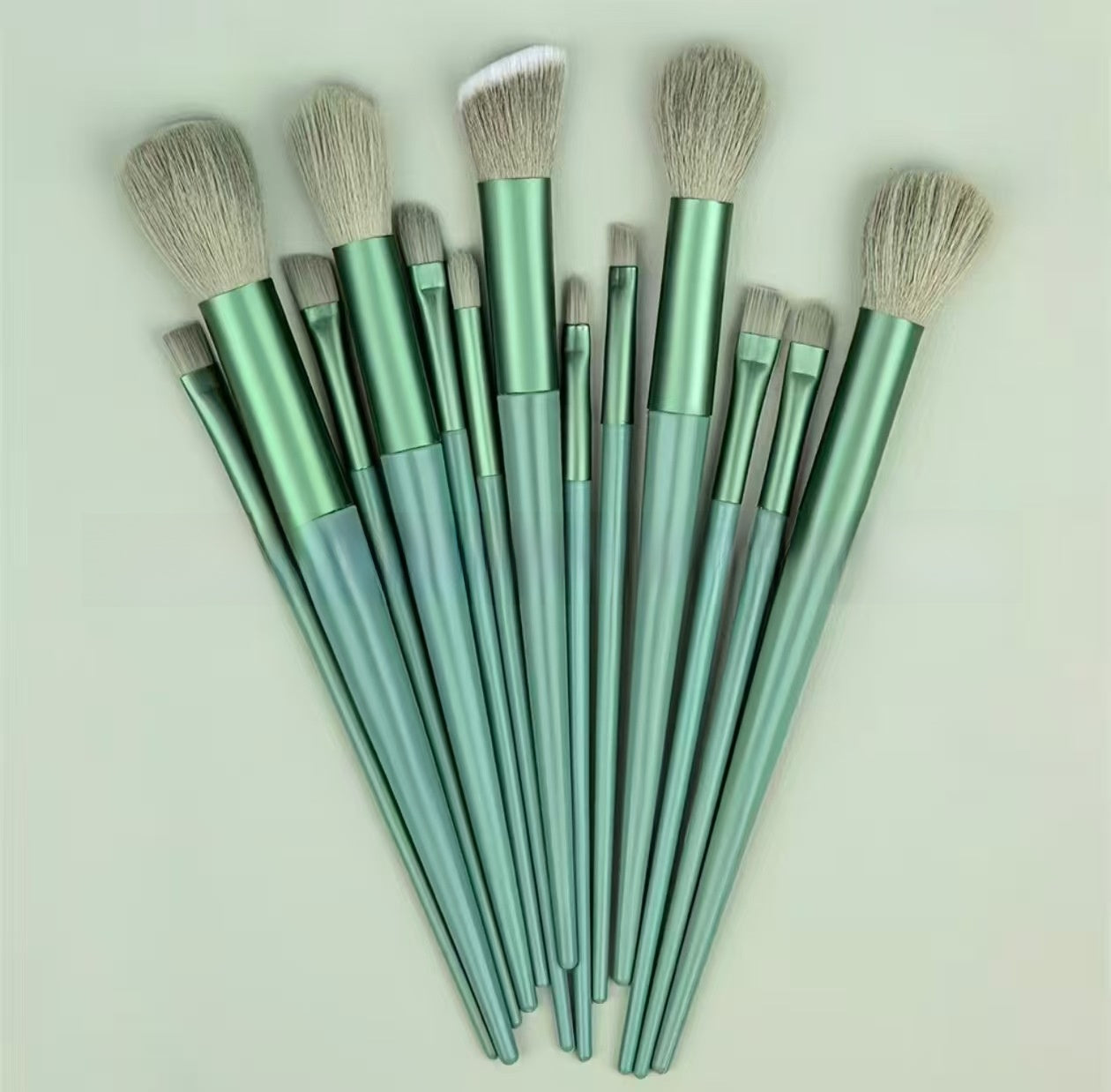 13 Piece Makeup Brush Set for Powder Blush Eye Lip