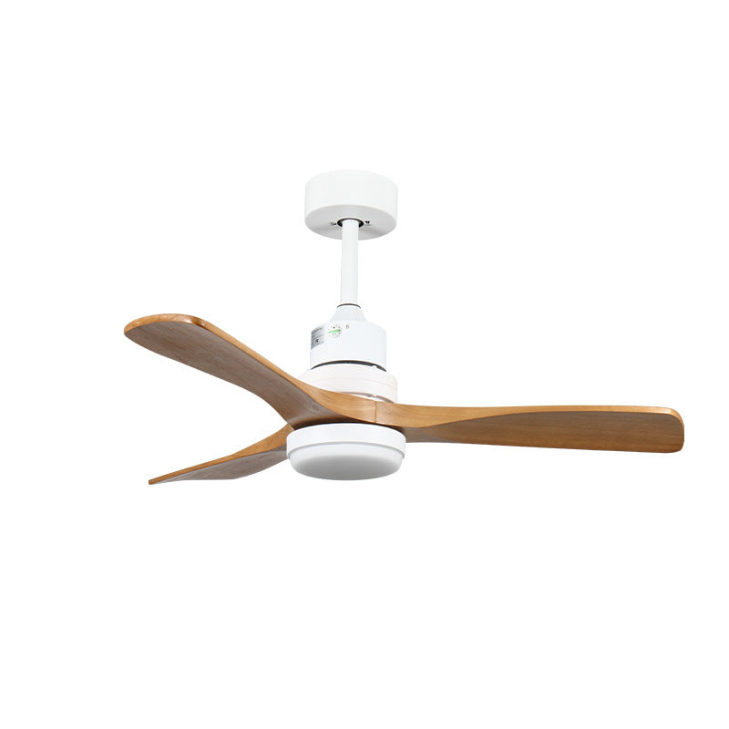 Variable Frequency Ceiling Fan Light with Remote Control and Dimmable LED