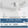 Industrial Retro Ceiling Fan with Inverter Technology