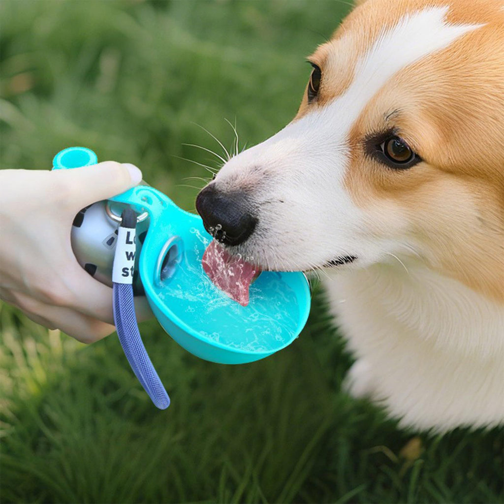 Foldable Stainless Steel Pet Water Bottle