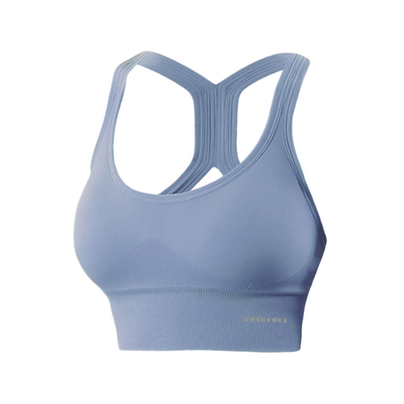 Womens Shockproof Sports Bra Yoga Fitness Vest