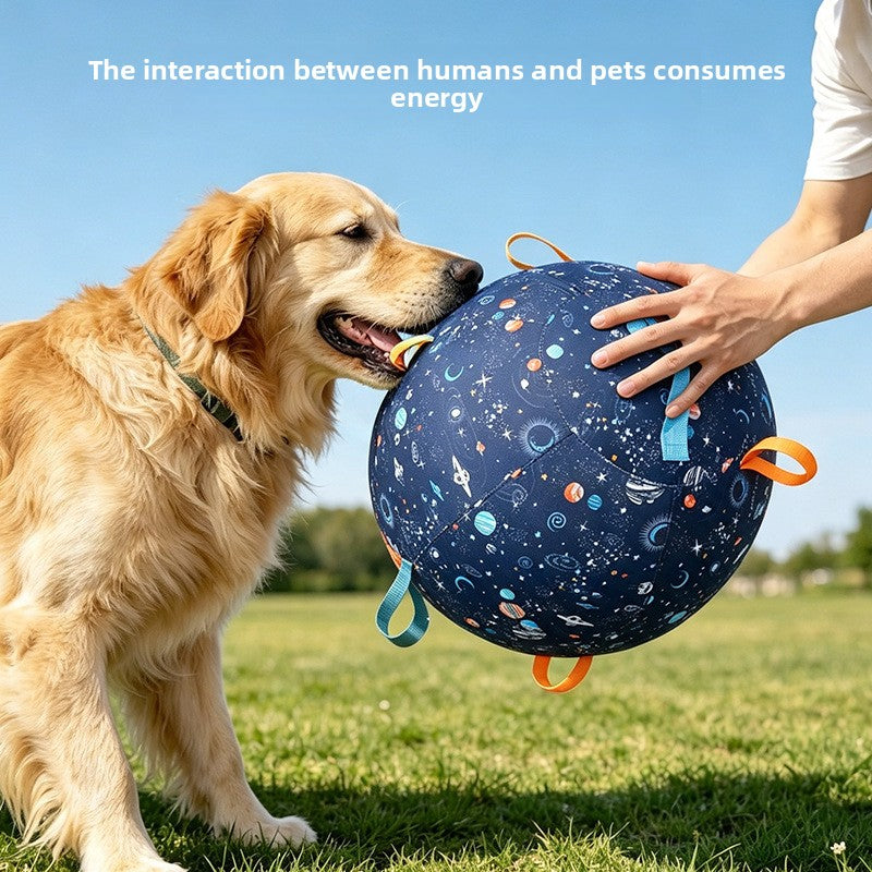 Pet Interactive Toy Ball, Outdoor Wear-Resistant Inflatable Ball for Entertainment