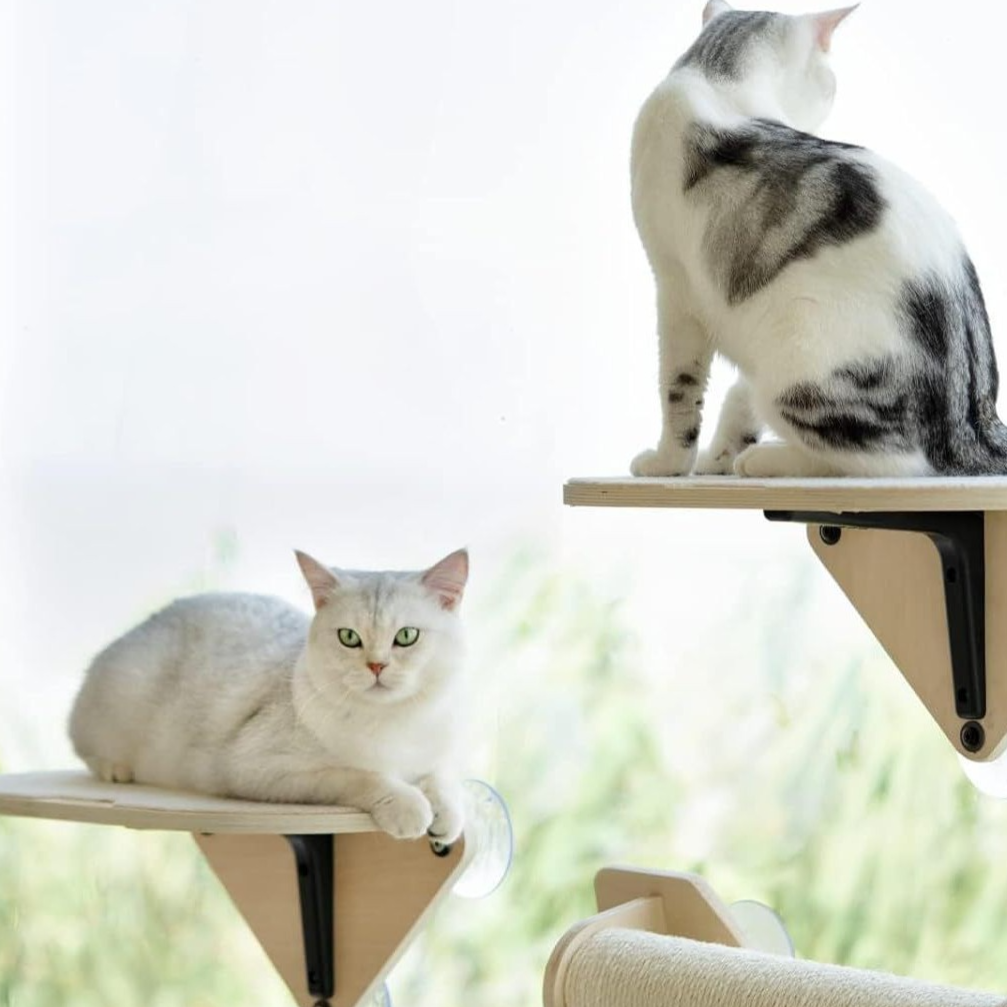 Suction Cup Wall-Mounted Cat Climbing Platform