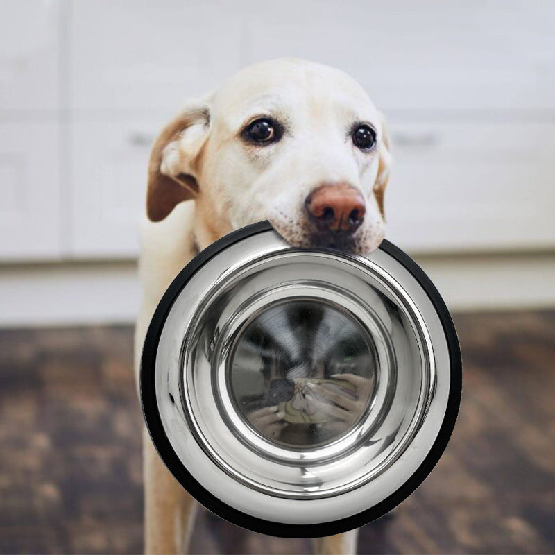 Stainless Steel Anti-Slip Pet Food Bowl