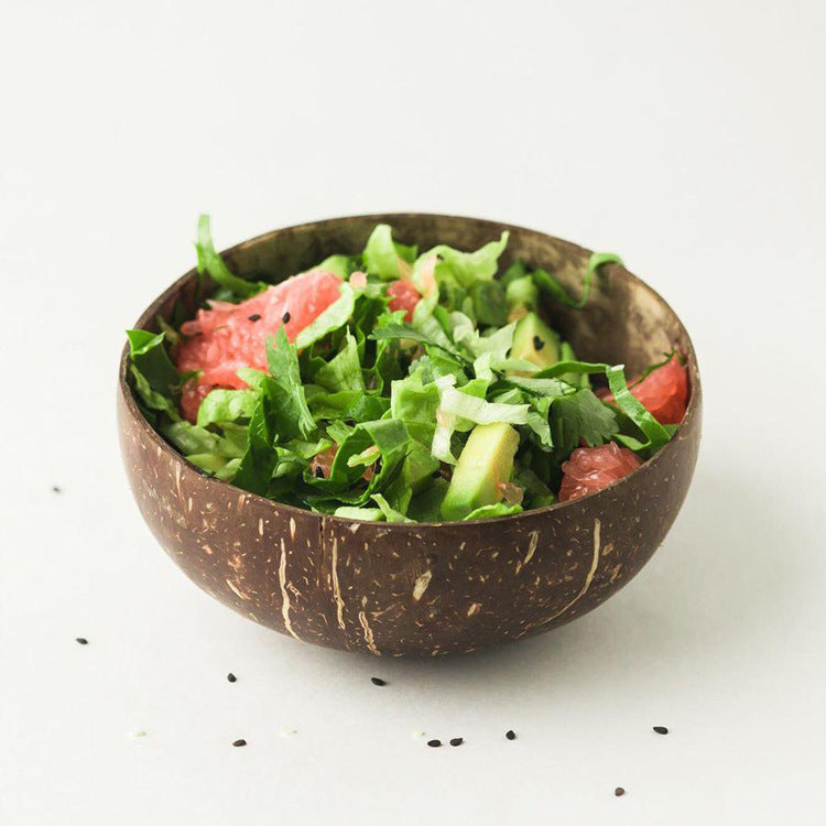Natural Coconut Wood Bowl Set with Spoon