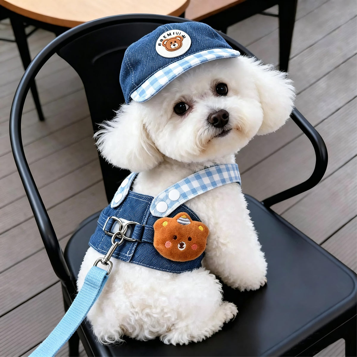 Adjustable Pet Harness and Leash Set for Cats and Dogs