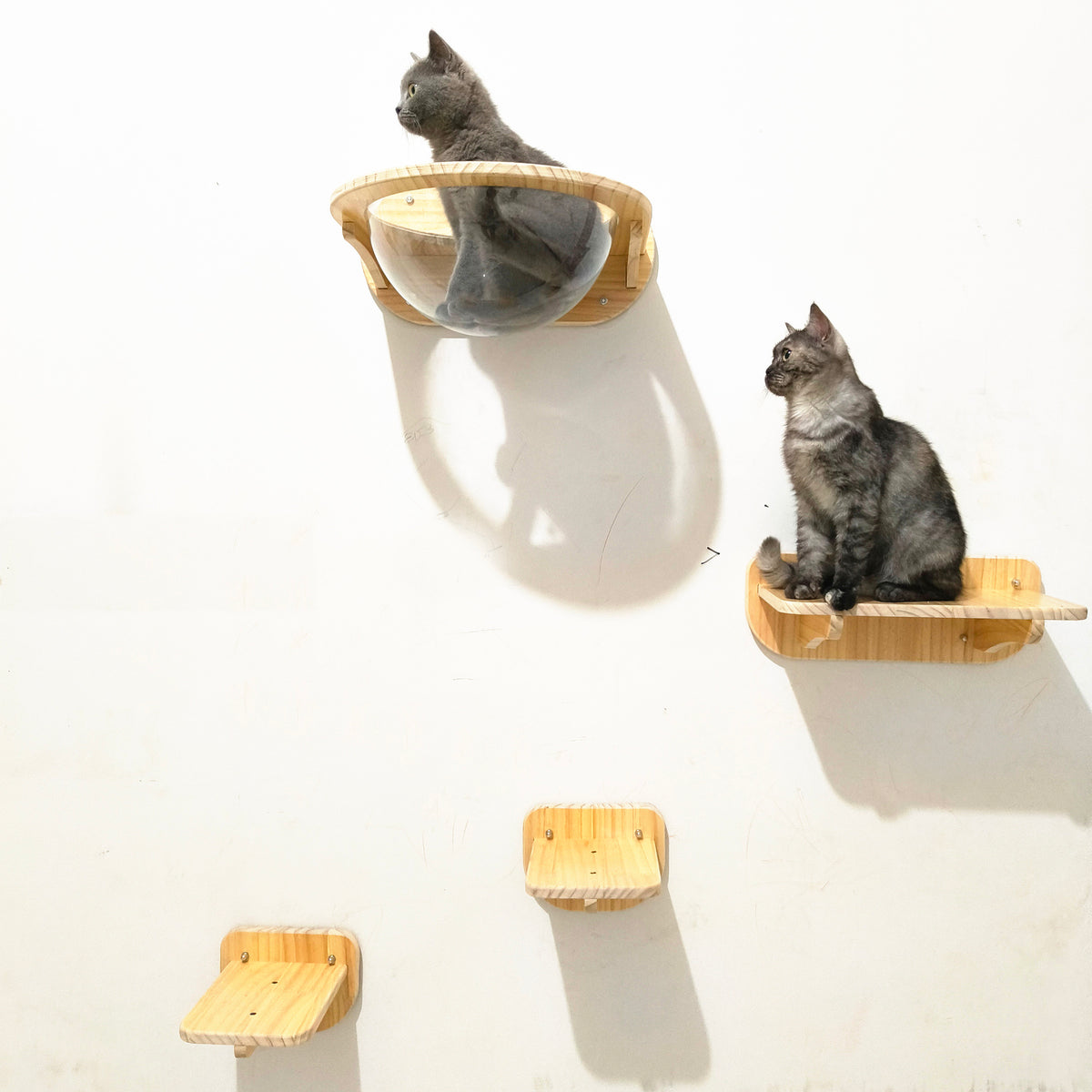 Wall-Mounted Cat Climbing Frame with Space Capsule