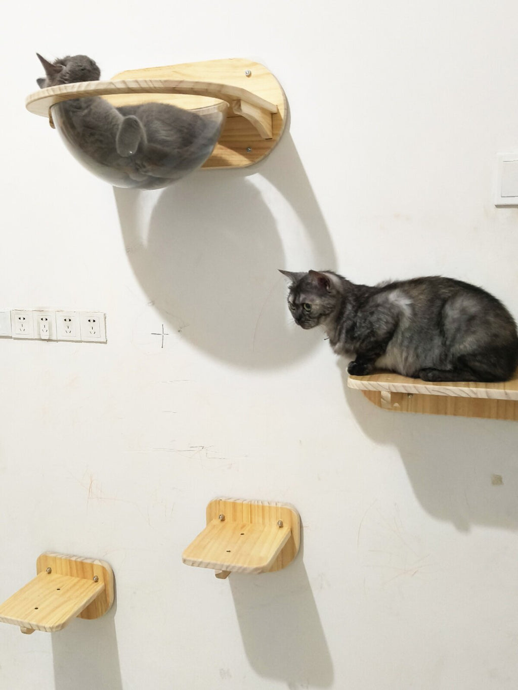 Wall-Mounted Cat Climbing Frame with Space Capsule