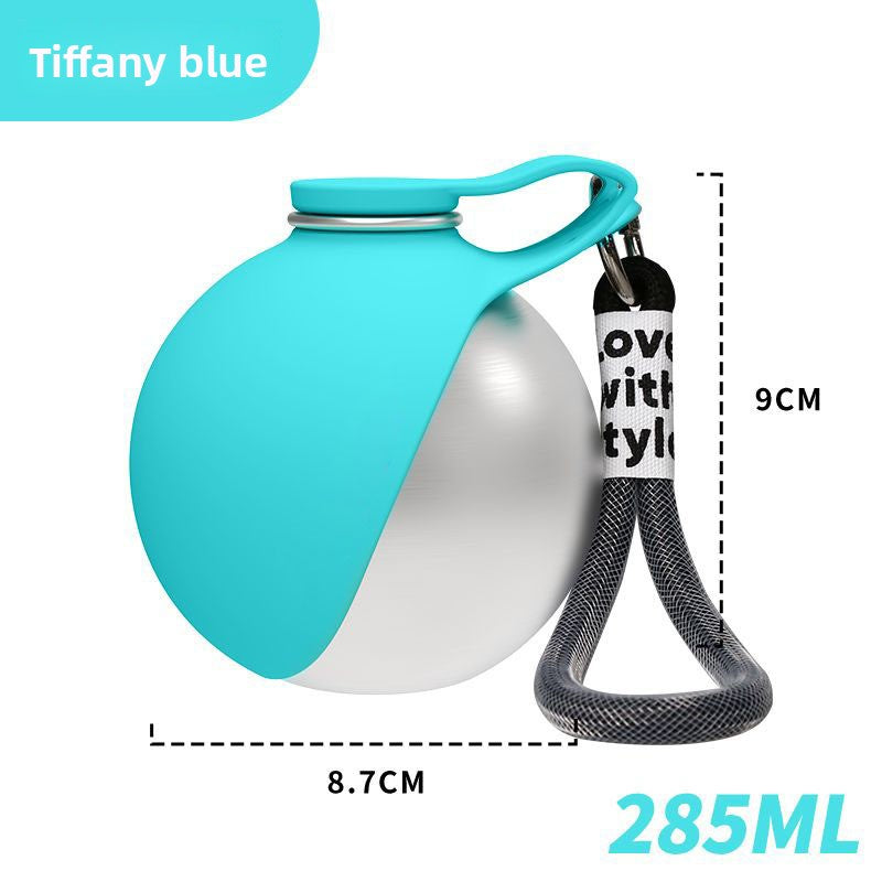Foldable Stainless Steel Pet Water Bottle